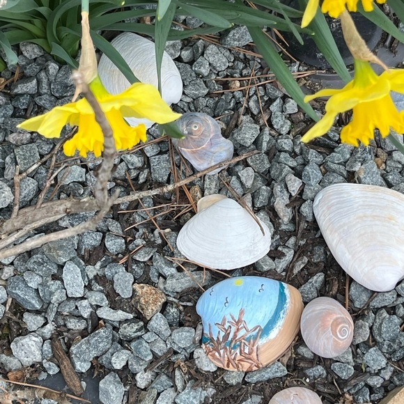 Hand Painted Beach Scene Shell - Picture 9 of 10